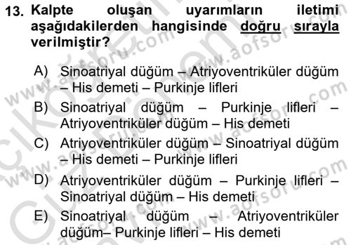 Temel Veteriner Fizyoloji Dersi 2022 - 2023 Yılı (Vize) Ara Sınav Soruları 13. Soru