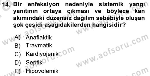 Temel Veteriner Fizyoloji Dersi 2022 - 2023 Yılı (Vize) Ara Sınav Soruları 14. Soru