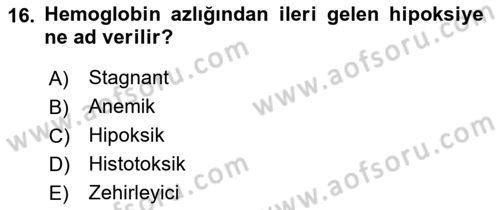 Temel Veteriner Fizyoloji Dersi 2022 - 2023 Yılı (Vize) Ara Sınav Soruları 16. Soru