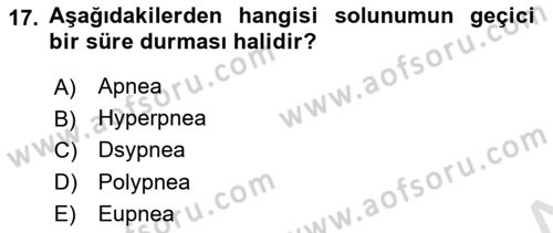 Temel Veteriner Fizyoloji Dersi 2022 - 2023 Yılı (Vize) Ara Sınav Soruları 17. Soru