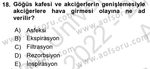 Temel Veteriner Fizyoloji Dersi 2022 - 2023 Yılı (Vize) Ara Sınav Soruları 18. Soru
