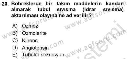 Temel Veteriner Fizyoloji Dersi 2022 - 2023 Yılı (Vize) Ara Sınav Soruları 20. Soru