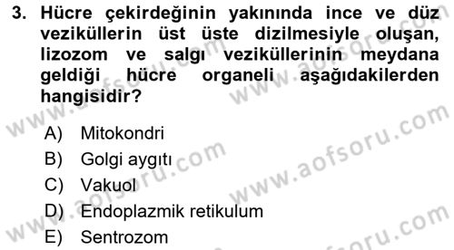 Temel Veteriner Fizyoloji Dersi 2022 - 2023 Yılı (Vize) Ara Sınav Soruları 3. Soru
