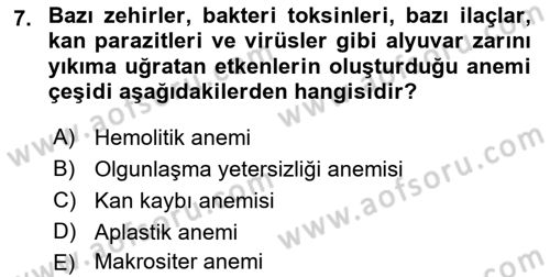 Temel Veteriner Fizyoloji Dersi 2022 - 2023 Yılı (Vize) Ara Sınav Soruları 7. Soru