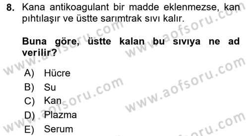Temel Veteriner Fizyoloji Dersi 2022 - 2023 Yılı (Vize) Ara Sınav Soruları 8. Soru