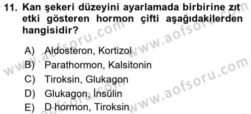 Temel Veteriner Fizyoloji Dersi 2022 - 2023 Yılı (Final) Dönem Sonu Sınav Soruları 11. Soru