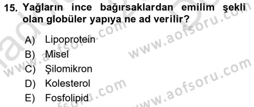 Temel Veteriner Fizyoloji Dersi 2022 - 2023 Yılı (Final) Dönem Sonu Sınavı 15. Soru