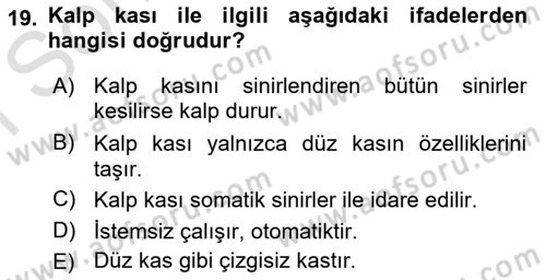 Temel Veteriner Fizyoloji Dersi 2022 - 2023 Yılı (Final) Dönem Sonu Sınavı 19. Soru