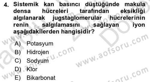 Temel Veteriner Fizyoloji Dersi 2022 - 2023 Yılı (Final) Dönem Sonu Sınav Soruları 4. Soru