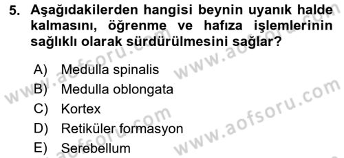 Temel Veteriner Fizyoloji Dersi 2022 - 2023 Yılı (Final) Dönem Sonu Sınav Soruları 5. Soru