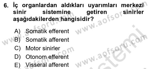 Temel Veteriner Fizyoloji Dersi 2022 - 2023 Yılı (Final) Dönem Sonu Sınavı 6. Soru