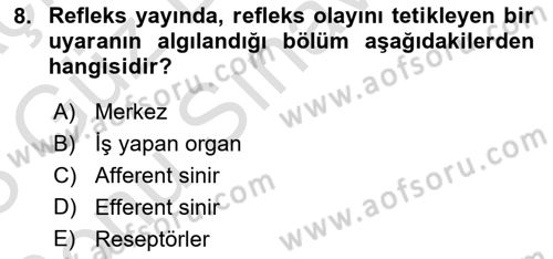 Temel Veteriner Fizyoloji Dersi 2022 - 2023 Yılı (Final) Dönem Sonu Sınavı 8. Soru