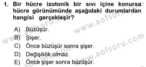 Temel Veteriner Fizyoloji Dersi 2022 - 2023 Yılı Yaz Okulu Sınav Soruları 1. Soru