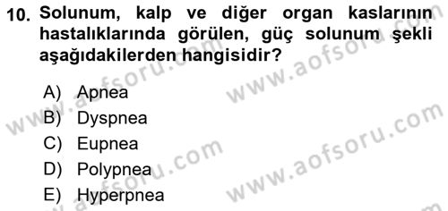 Temel Veteriner Fizyoloji Dersi 2022 - 2023 Yılı Yaz Okulu Sınav Soruları 10. Soru