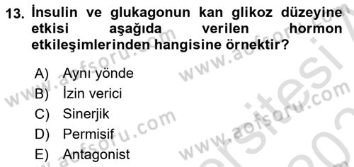 Temel Veteriner Fizyoloji Dersi 2022 - 2023 Yılı Yaz Okulu Sınavı 13. Soru