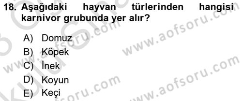 Temel Veteriner Fizyoloji Dersi 2022 - 2023 Yılı Yaz Okulu Sınavı 18. Soru