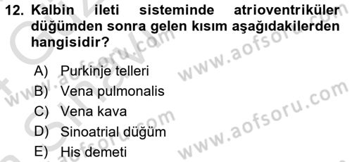 Temel Veteriner Fizyoloji Dersi 2023 - 2024 Yılı (Vize) Ara Sınavı 12. Soru