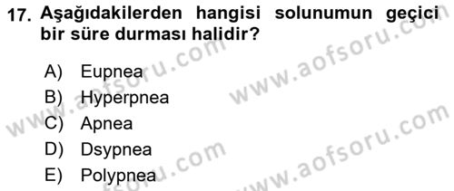Temel Veteriner Fizyoloji Dersi 2023 - 2024 Yılı (Vize) Ara Sınavı 17. Soru