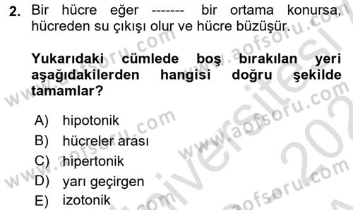 Temel Veteriner Fizyoloji Dersi 2023 - 2024 Yılı (Vize) Ara Sınavı 2. Soru