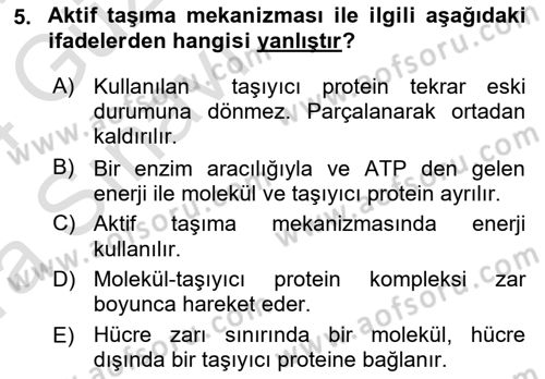 Temel Veteriner Fizyoloji Dersi 2023 - 2024 Yılı (Vize) Ara Sınav Soruları 5. Soru