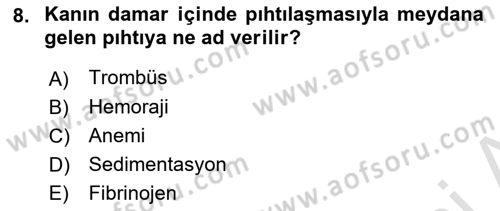 Temel Veteriner Fizyoloji Dersi 2023 - 2024 Yılı (Vize) Ara Sınav Soruları 8. Soru