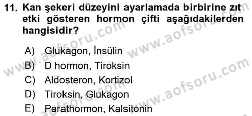 Temel Veteriner Fizyoloji Dersi 2023 - 2024 Yılı (Final) Dönem Sonu Sınav Soruları 11. Soru