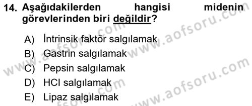 Temel Veteriner Fizyoloji Dersi 2023 - 2024 Yılı (Final) Dönem Sonu Sınav Soruları 14. Soru