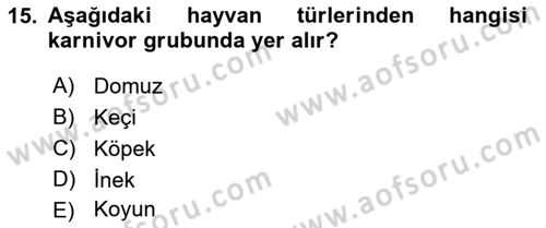 Temel Veteriner Fizyoloji Dersi 2023 - 2024 Yılı (Final) Dönem Sonu Sınav Soruları 15. Soru