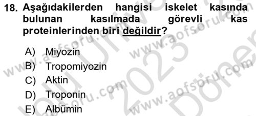 Temel Veteriner Fizyoloji Dersi 2023 - 2024 Yılı (Final) Dönem Sonu Sınav Soruları 18. Soru