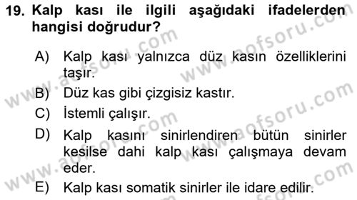 Temel Veteriner Fizyoloji Dersi 2023 - 2024 Yılı (Final) Dönem Sonu Sınav Soruları 19. Soru
