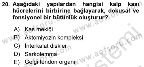 Temel Veteriner Fizyoloji Dersi 2023 - 2024 Yılı (Final) Dönem Sonu Sınav Soruları 20. Soru