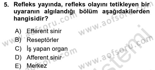 Temel Veteriner Fizyoloji Dersi 2023 - 2024 Yılı (Final) Dönem Sonu Sınav Soruları 5. Soru