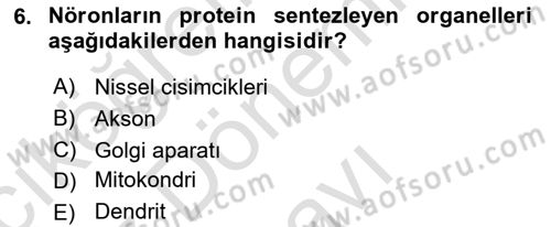 Temel Veteriner Fizyoloji Dersi 2023 - 2024 Yılı (Final) Dönem Sonu Sınav Soruları 6. Soru