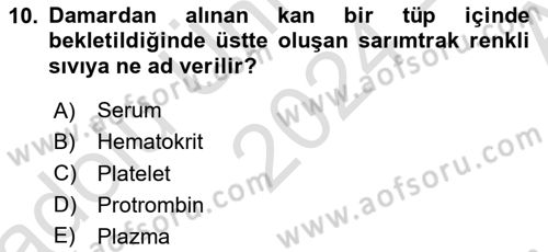 Temel Veteriner Fizyoloji Dersi 2024 - 2025 Yılı (Vize) Ara Sınav Soruları 10. Soru