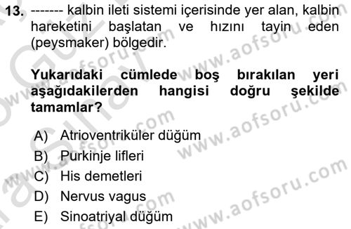 Temel Veteriner Fizyoloji Dersi 2024 - 2025 Yılı (Vize) Ara Sınavı 13. Soru