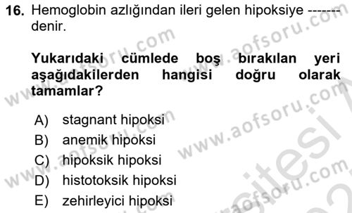 Temel Veteriner Fizyoloji Dersi 2024 - 2025 Yılı (Vize) Ara Sınavı 16. Soru