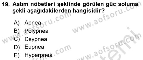 Temel Veteriner Fizyoloji Dersi 2024 - 2025 Yılı (Vize) Ara Sınavı 19. Soru