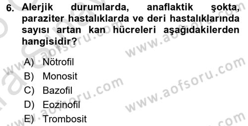 Temel Veteriner Fizyoloji Dersi 2024 - 2025 Yılı (Vize) Ara Sınavı 6. Soru