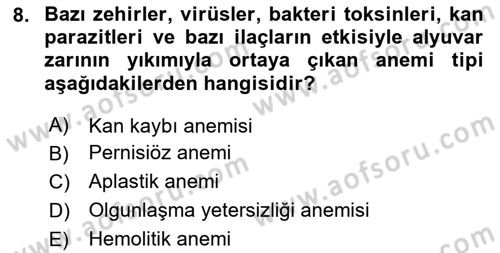 Temel Veteriner Fizyoloji Dersi 2024 - 2025 Yılı (Vize) Ara Sınav Soruları 8. Soru