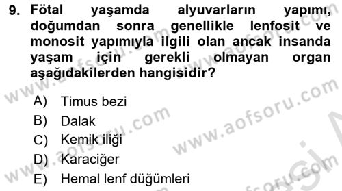 Temel Veteriner Fizyoloji Dersi 2024 - 2025 Yılı (Vize) Ara Sınavı 9. Soru