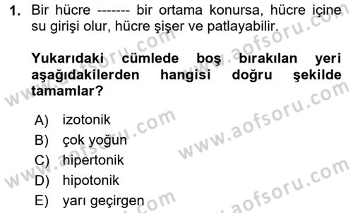 Temel Veteriner Fizyoloji Dersi 2024 - 2025 Yılı (Final) Dönem Sonu Sınav Soruları 1. Soru