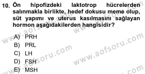 Temel Veteriner Fizyoloji Dersi 2024 - 2025 Yılı (Final) Dönem Sonu Sınav Soruları 10. Soru