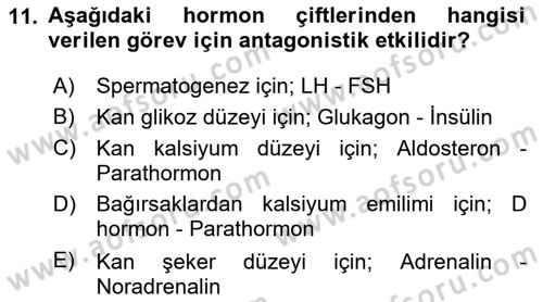 Temel Veteriner Fizyoloji Dersi 2024 - 2025 Yılı (Final) Dönem Sonu Sınav Soruları 11. Soru