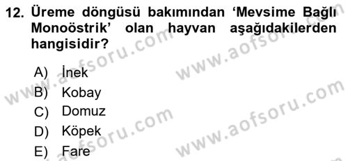 Temel Veteriner Fizyoloji Dersi 2024 - 2025 Yılı (Final) Dönem Sonu Sınav Soruları 12. Soru