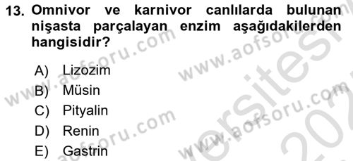 Temel Veteriner Fizyoloji Dersi 2024 - 2025 Yılı (Final) Dönem Sonu Sınav Soruları 13. Soru