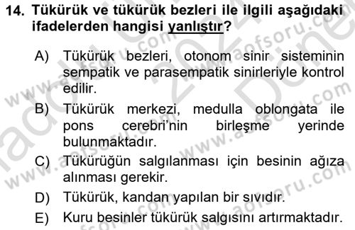 Temel Veteriner Fizyoloji Dersi 2024 - 2025 Yılı (Final) Dönem Sonu Sınav Soruları 14. Soru