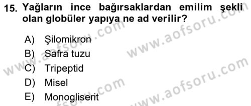 Temel Veteriner Fizyoloji Dersi 2024 - 2025 Yılı (Final) Dönem Sonu Sınav Soruları 15. Soru