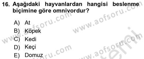 Temel Veteriner Fizyoloji Dersi 2024 - 2025 Yılı (Final) Dönem Sonu Sınav Soruları 16. Soru