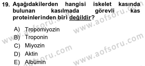 Temel Veteriner Fizyoloji Dersi 2024 - 2025 Yılı (Final) Dönem Sonu Sınav Soruları 19. Soru
