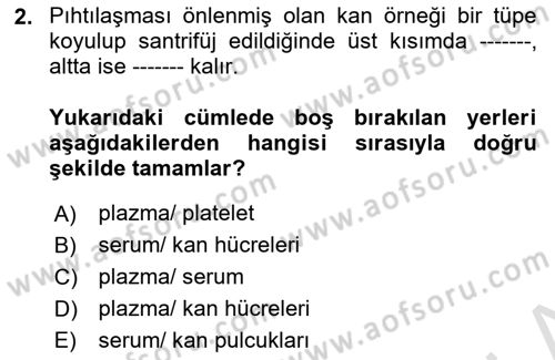Temel Veteriner Fizyoloji Dersi 2024 - 2025 Yılı (Final) Dönem Sonu Sınav Soruları 2. Soru